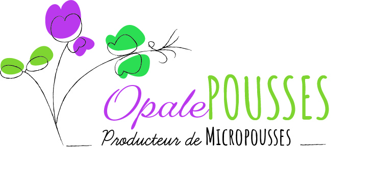 alt mentions légales d'Opale Pousses