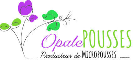 alt Opale Pousses Calais producteur et vendeur de micropousses